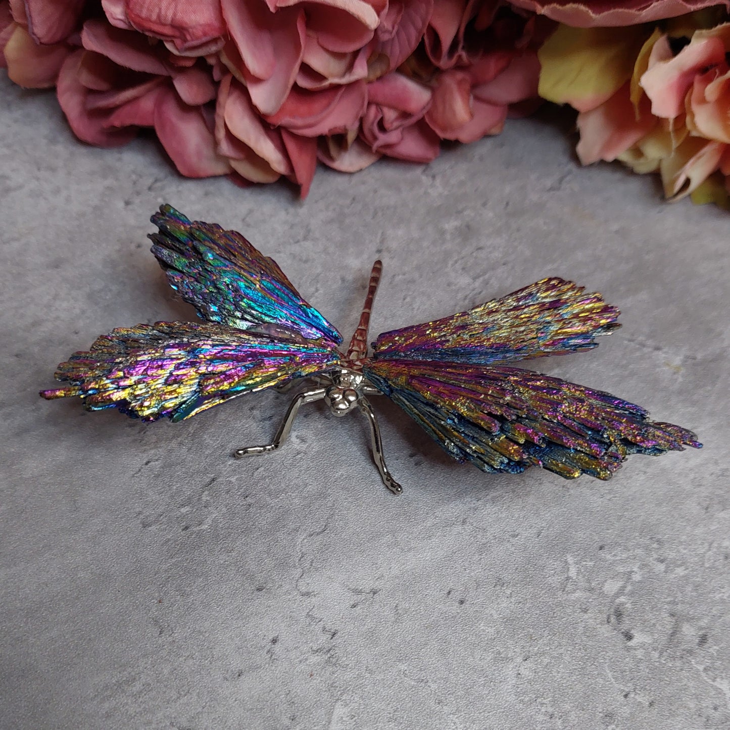 Sudenkorento aurakyaniittia moniväri