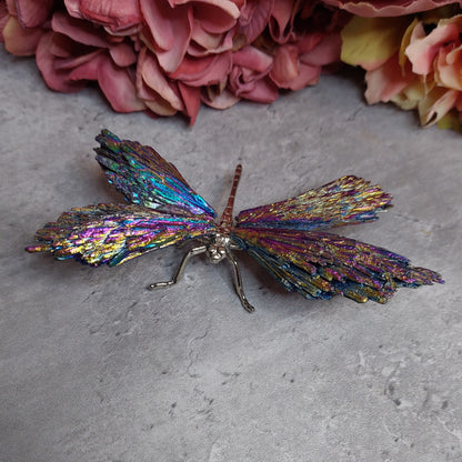 Sudenkorento aurakyaniittia moniväri