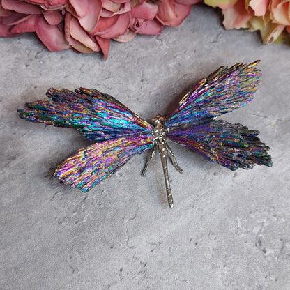 Sudenkorento aurakyaniittia moniväri