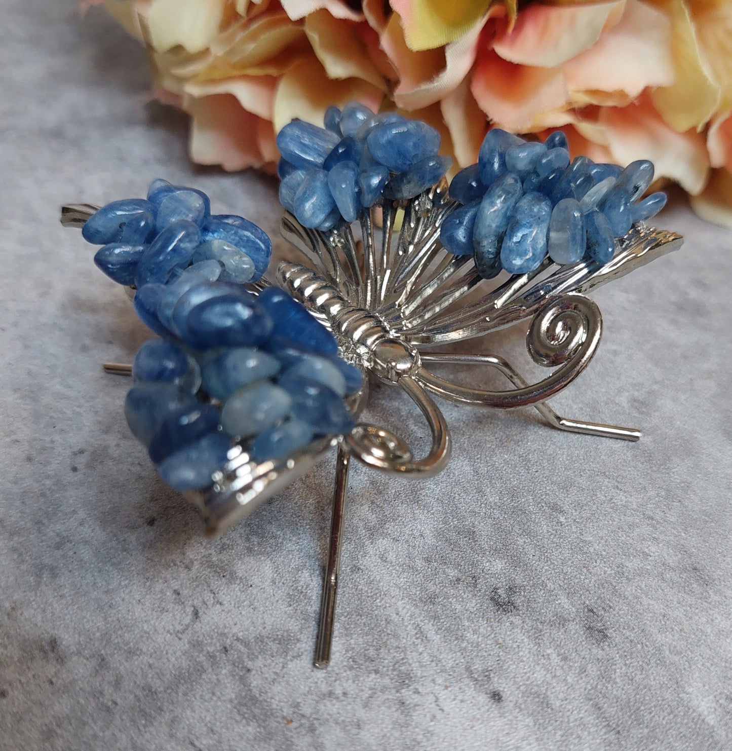 Perhonen sirusiivillä, kyaniitti