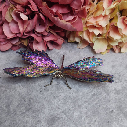 Sudenkorento aurakyaniittia moniväri