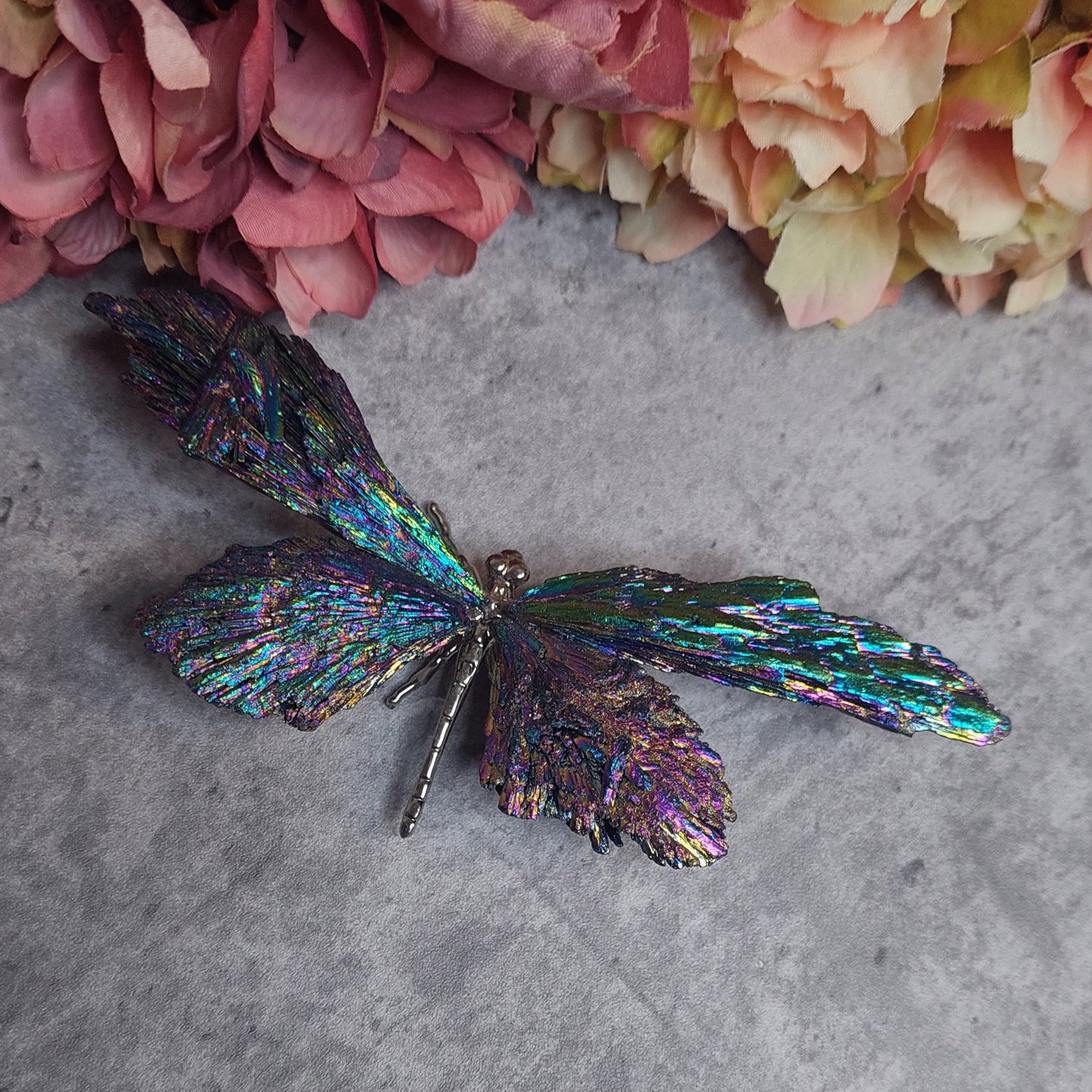 Sudenkorento aurakyaniittia moniväri