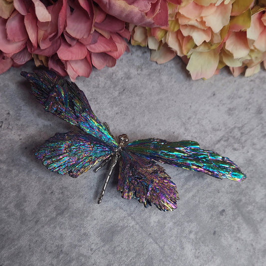 Sudenkorento aurakyaniittia moniväri