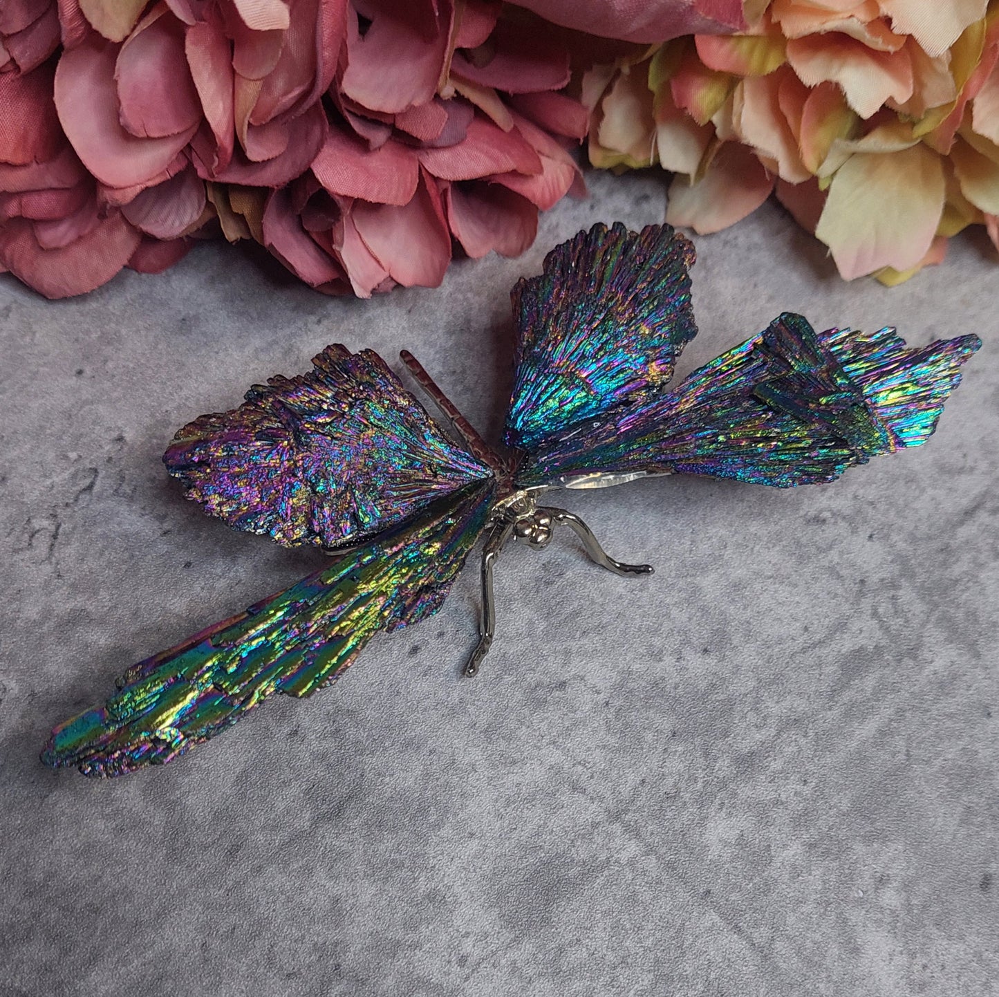 Sudenkorento aurakyaniittia moniväri