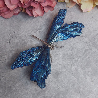 Sudenkorento aurakyaniittia sininen