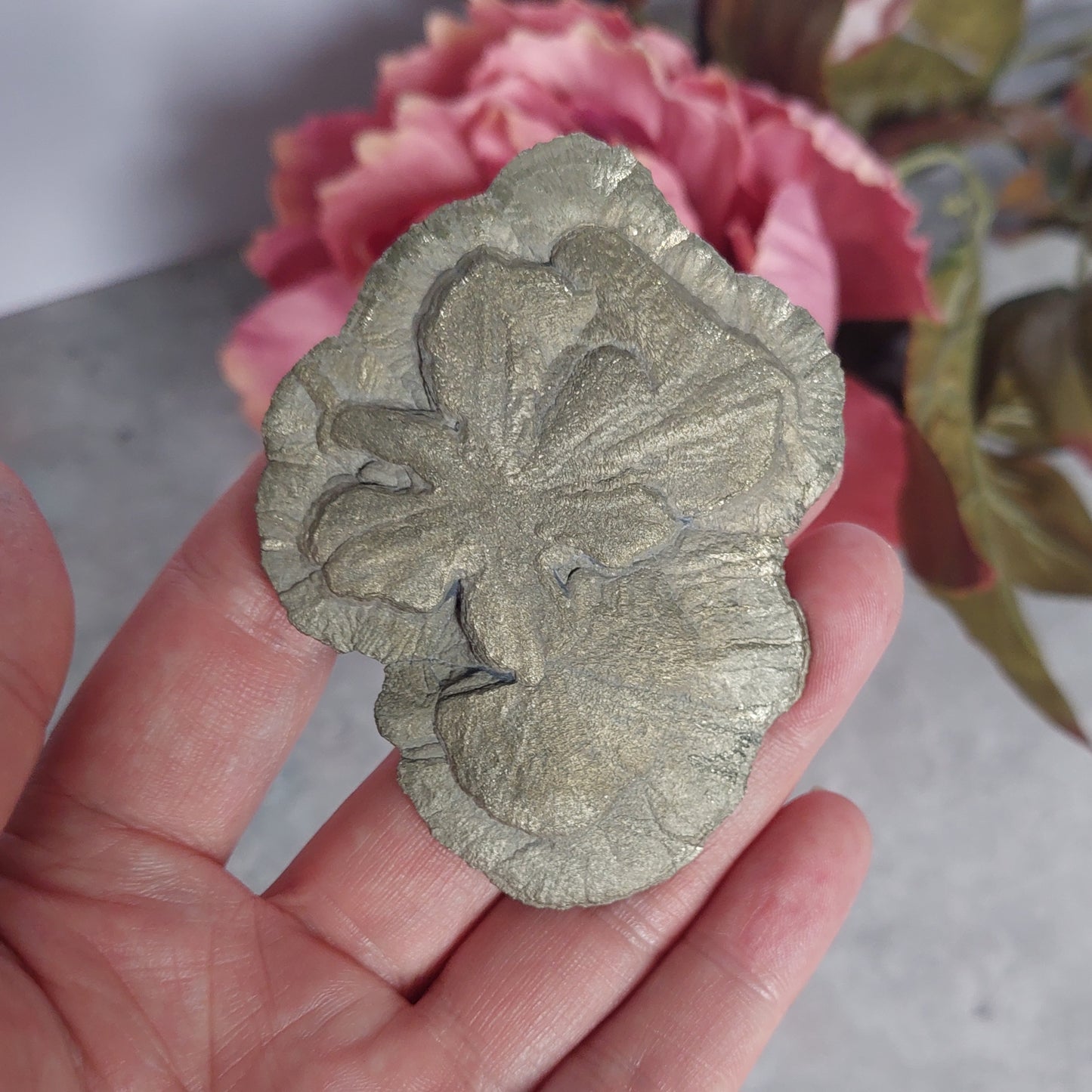 Pyriitti "Sun Dollar"