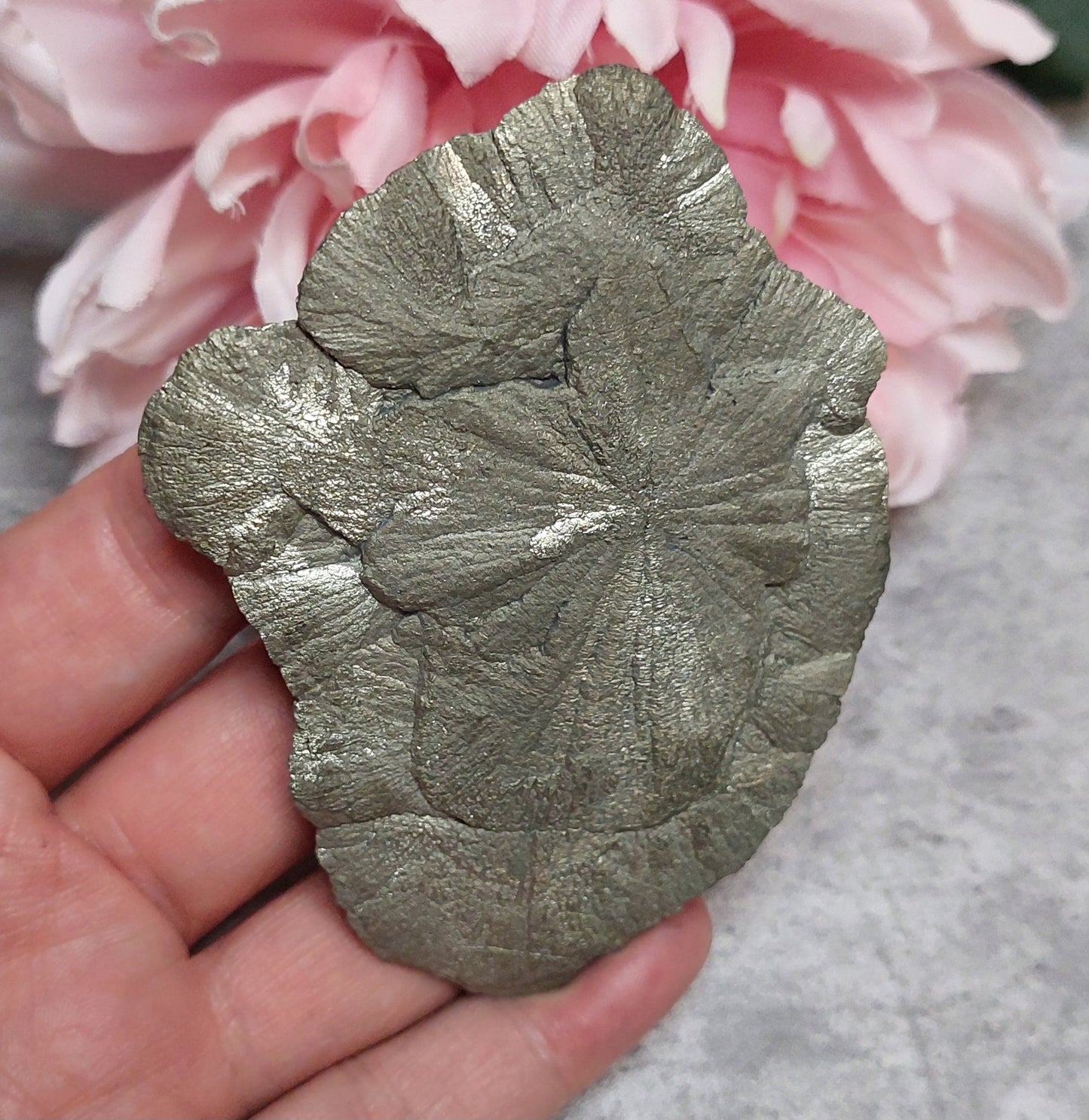 Pyriitti "Sun Dollar"
