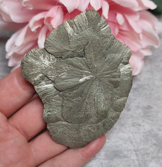 Pyriitti "Sun Dollar"