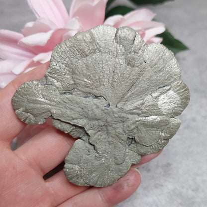 Pyriitti "Sun Dollar"