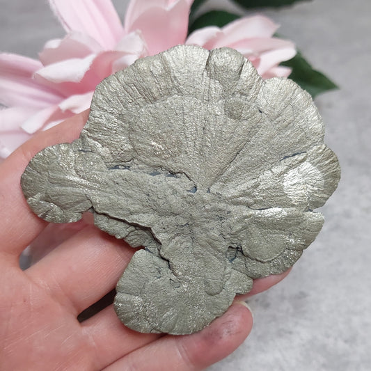 Pyriitti "Sun Dollar"
