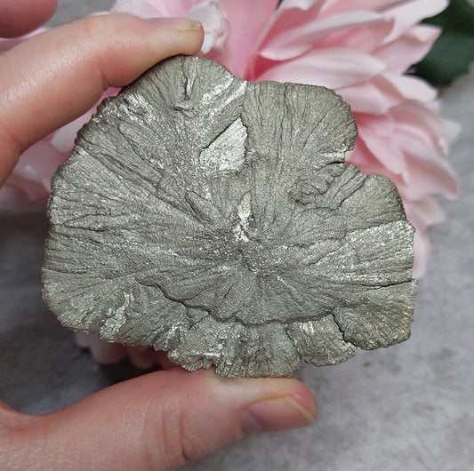 Pyriitti "Sun Dollar"