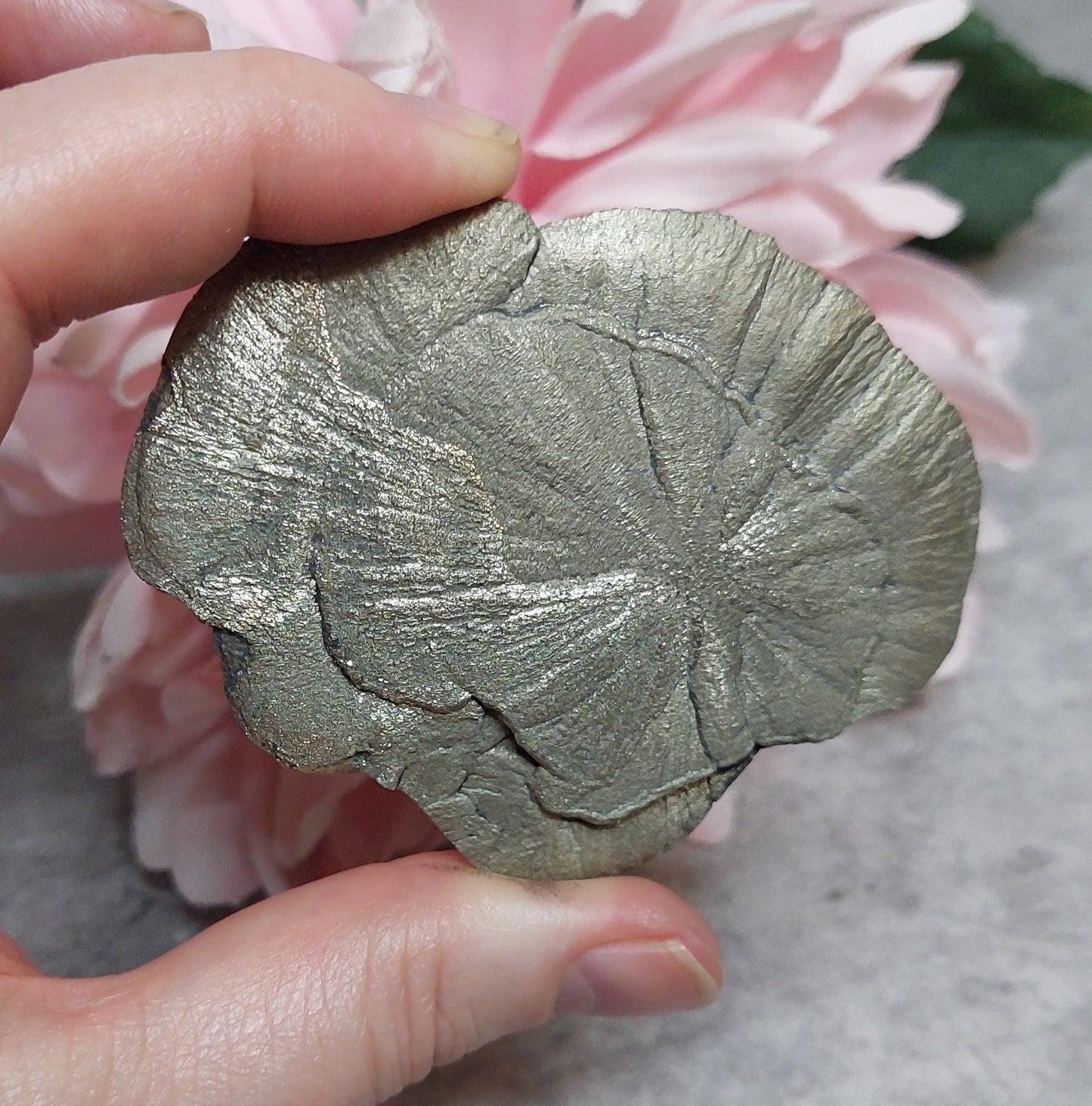 Pyriitti "Sun Dollar"