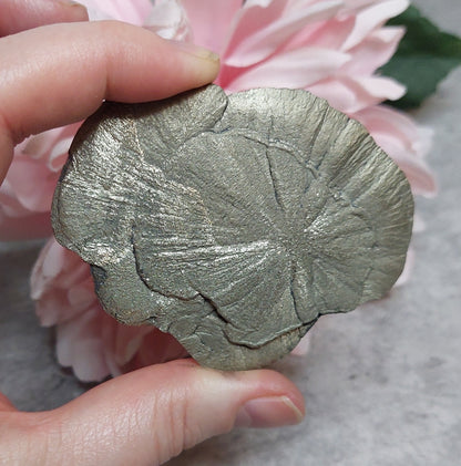 Pyriitti "Sun Dollar"