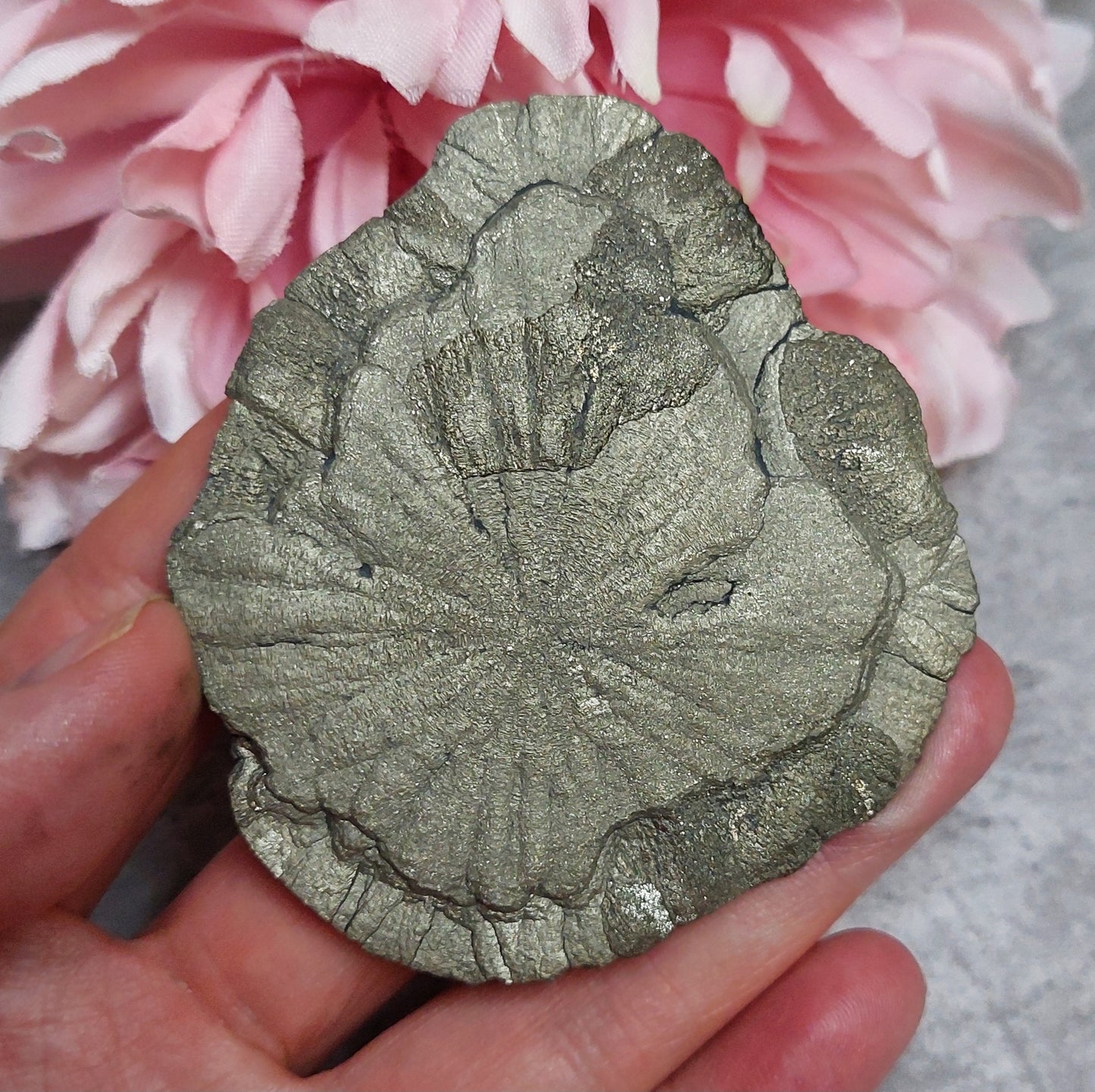 Pyriitti "Sun Dollar"