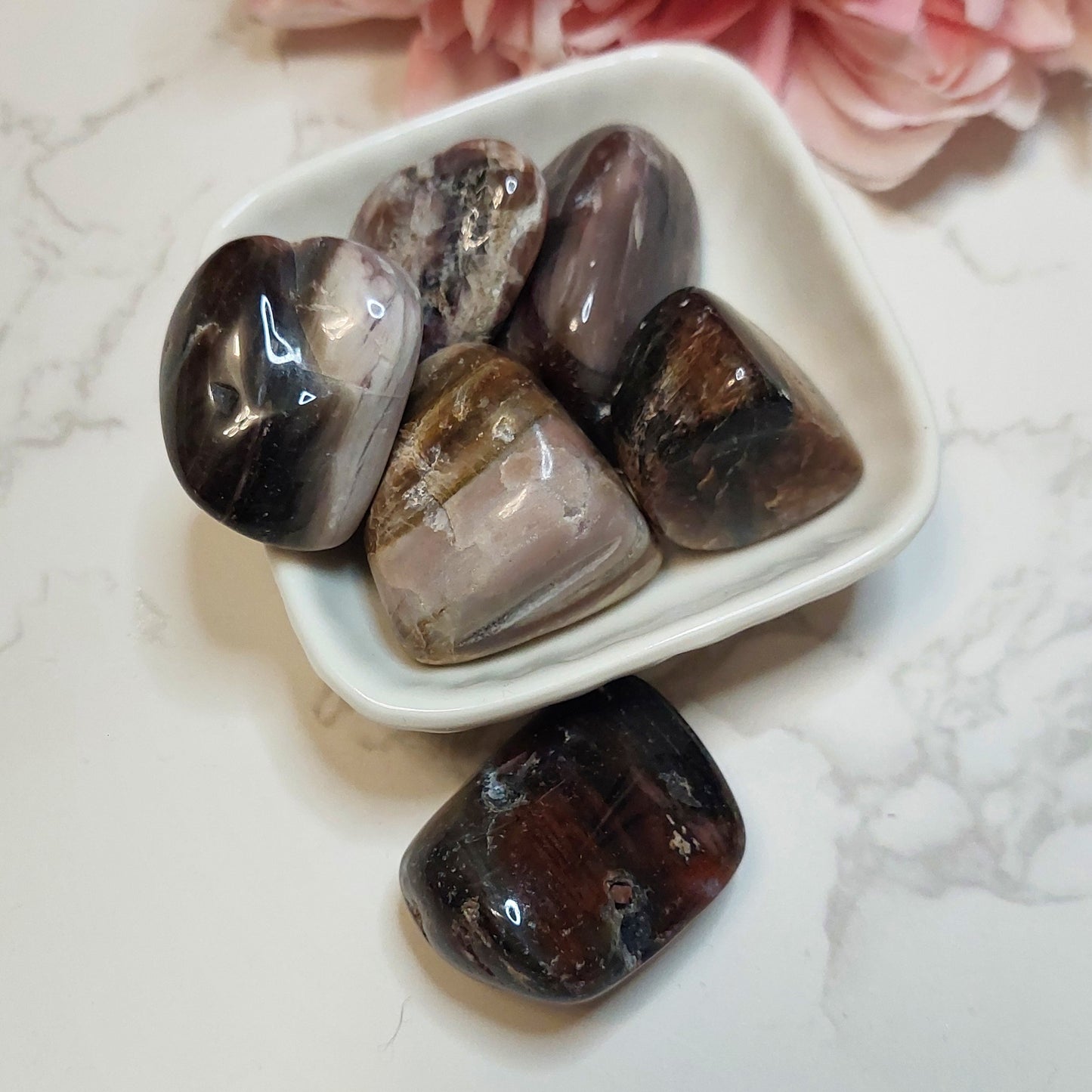 Rumpuhiottu kivettynyt puu