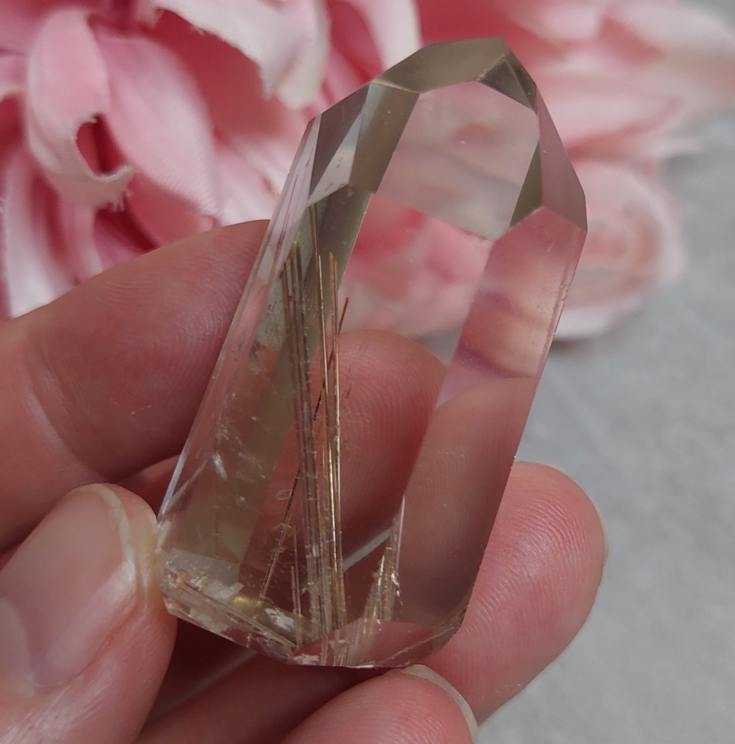 Torni, rutiili Brasilia 4,5cm