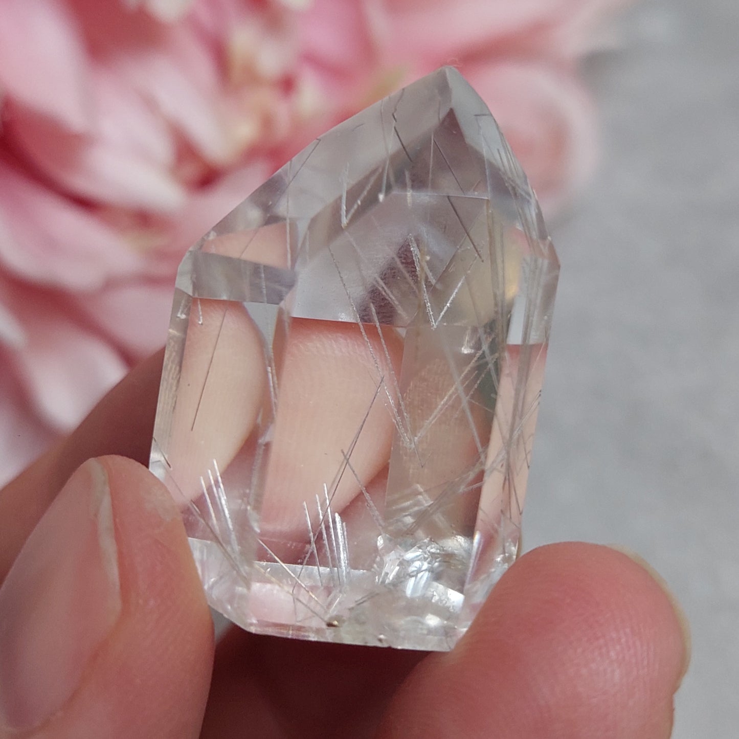 Torni, rutiili Brasilia 3cm
