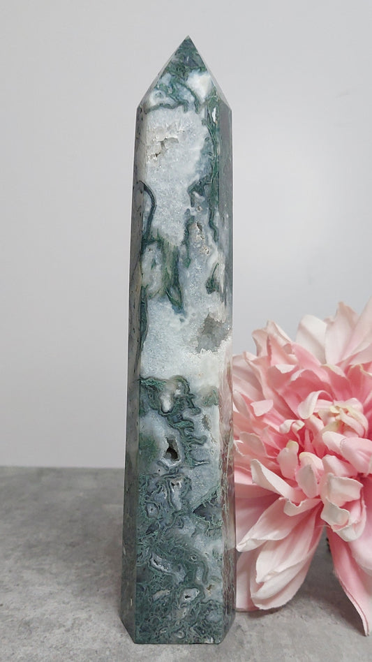 Torni, sammalakaatti 23cm