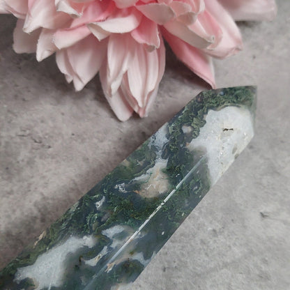 Torni, sammalakaatti 19cm