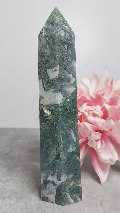 Torni, sammalakaatti 19cm