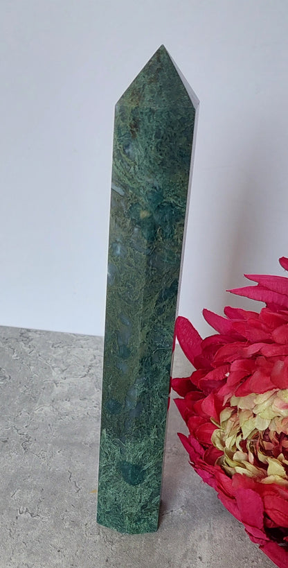 Sammalakaattitorni 23cm
