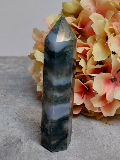 Torni, sammalakaatti 9,5cm