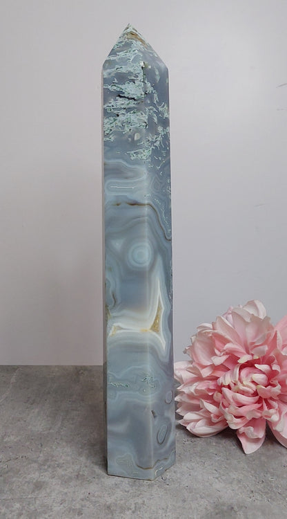 Torni, sammalakaatti druusilla 33cm