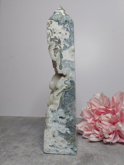 Torni, sammalakaatti druusilla 27cm