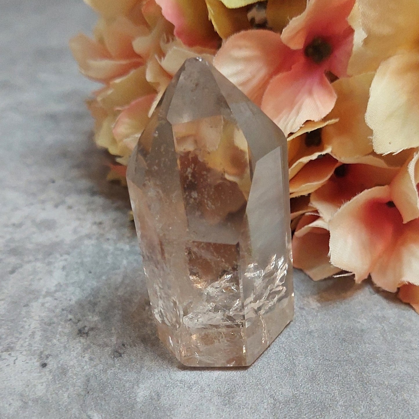 Torni, savukvartsi 5,3cm Brasilia