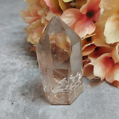 Torni, savukvartsi 5,3cm Brasilia