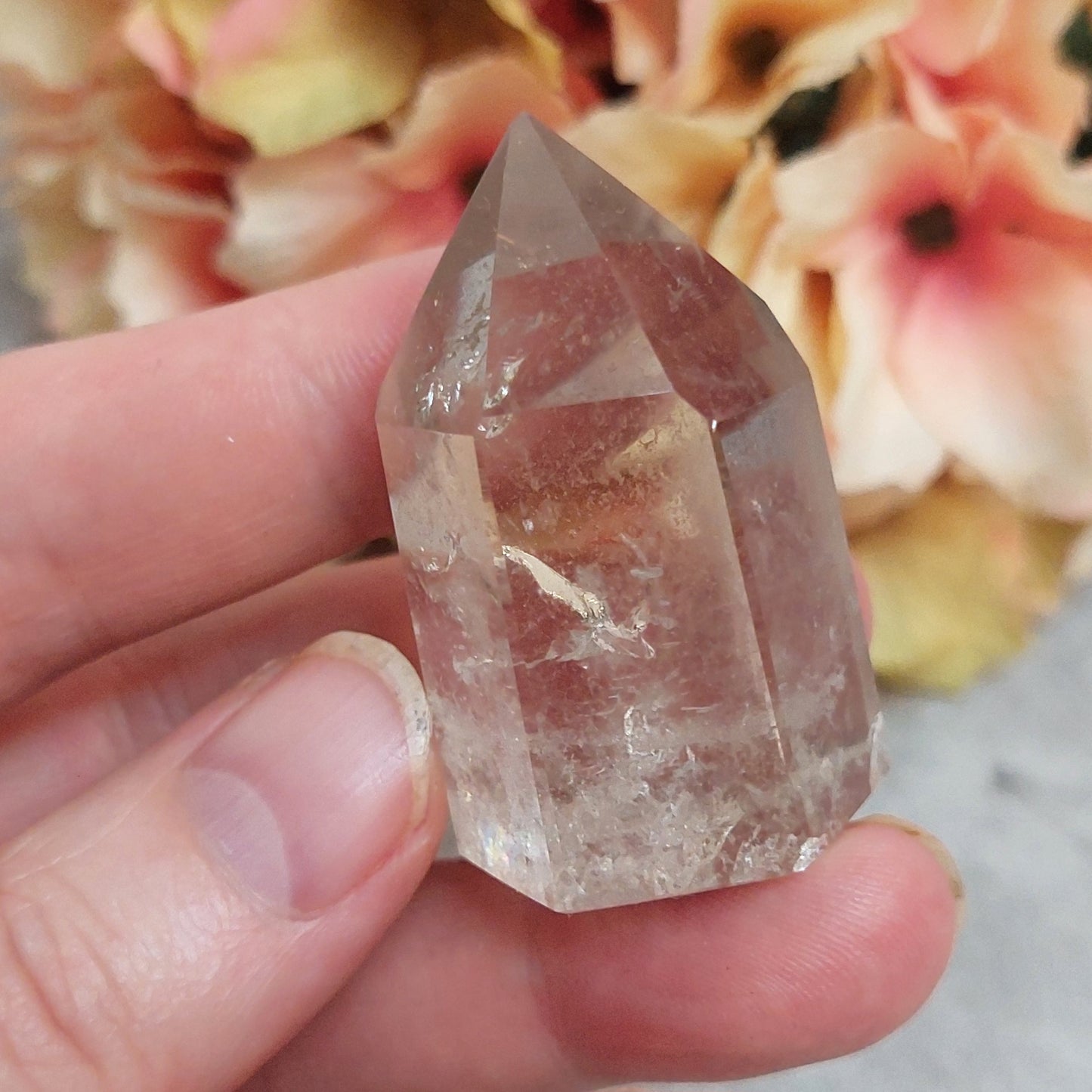 Torni, savukvartsi 4,3cm Brasilia