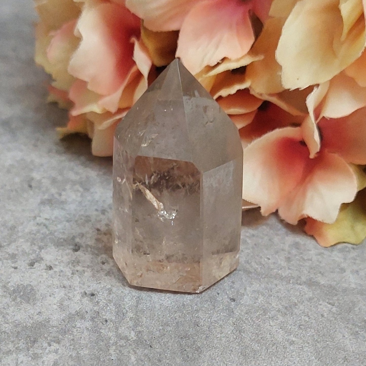 Torni, savukvartsi 4,3cm Brasilia
