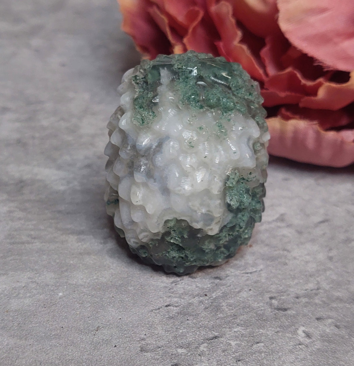 Siili, sammalakaatti 5cm