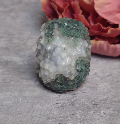 Siili, sammalakaatti 5cm