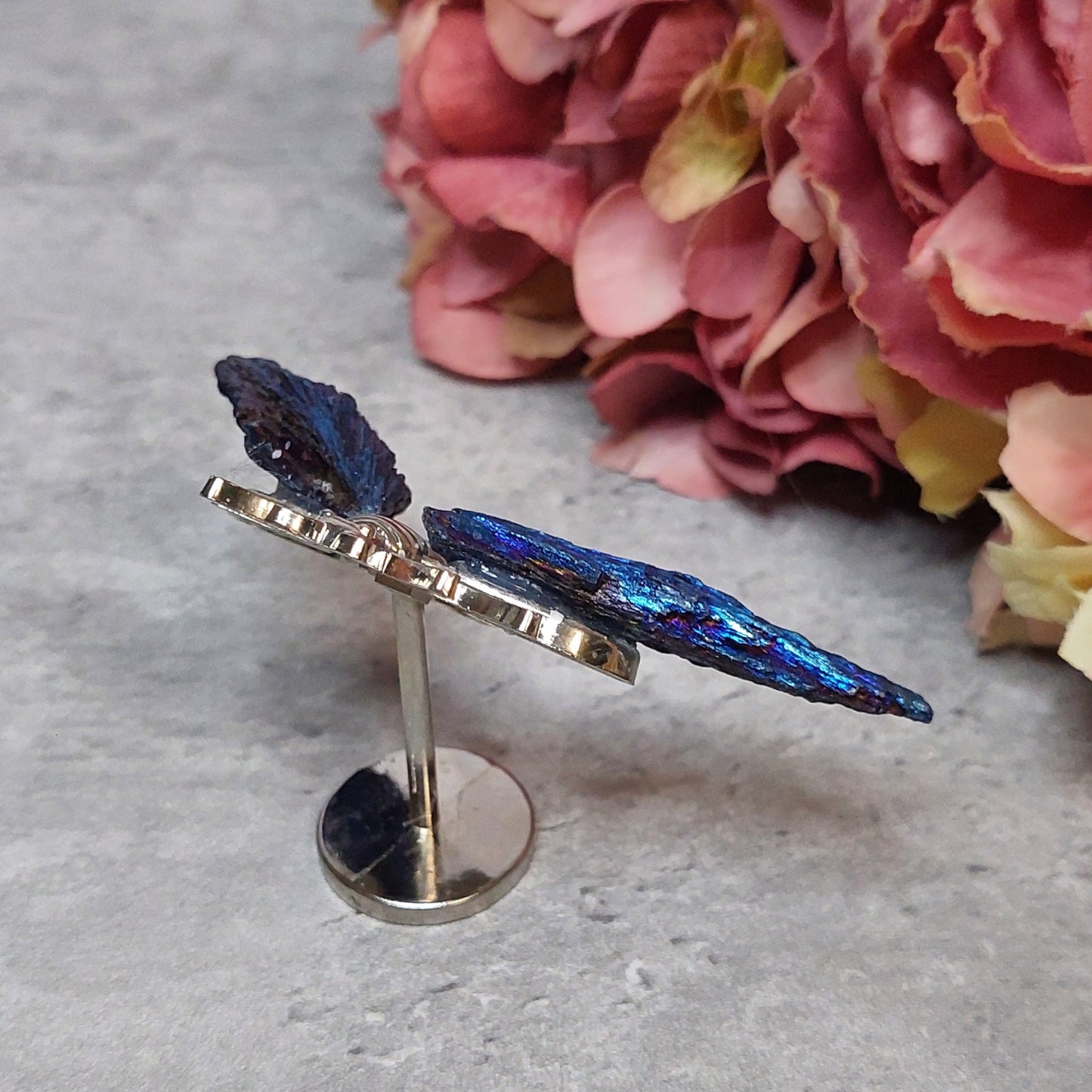 Mini mehiläis siivet, Aura kyaniitti sininen