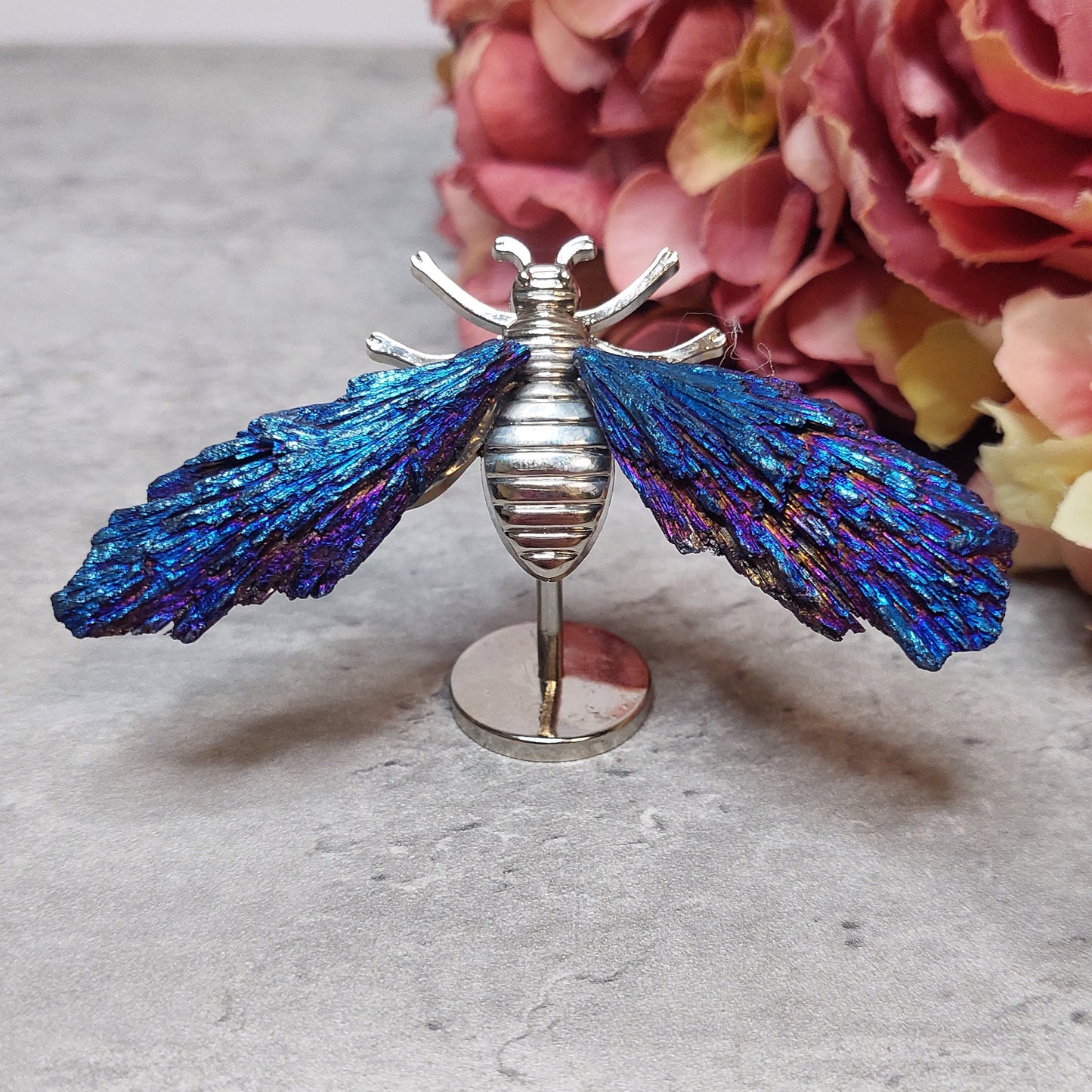 Mini mehiläis siivet, Aura kyaniitti sininen