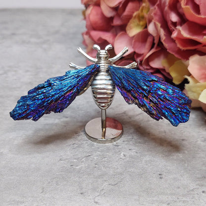 Mini mehiläis siivet, Aura kyaniitti sininen