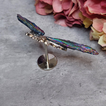 Mini mehiläis siivet, Aura kyaniitti värikäs