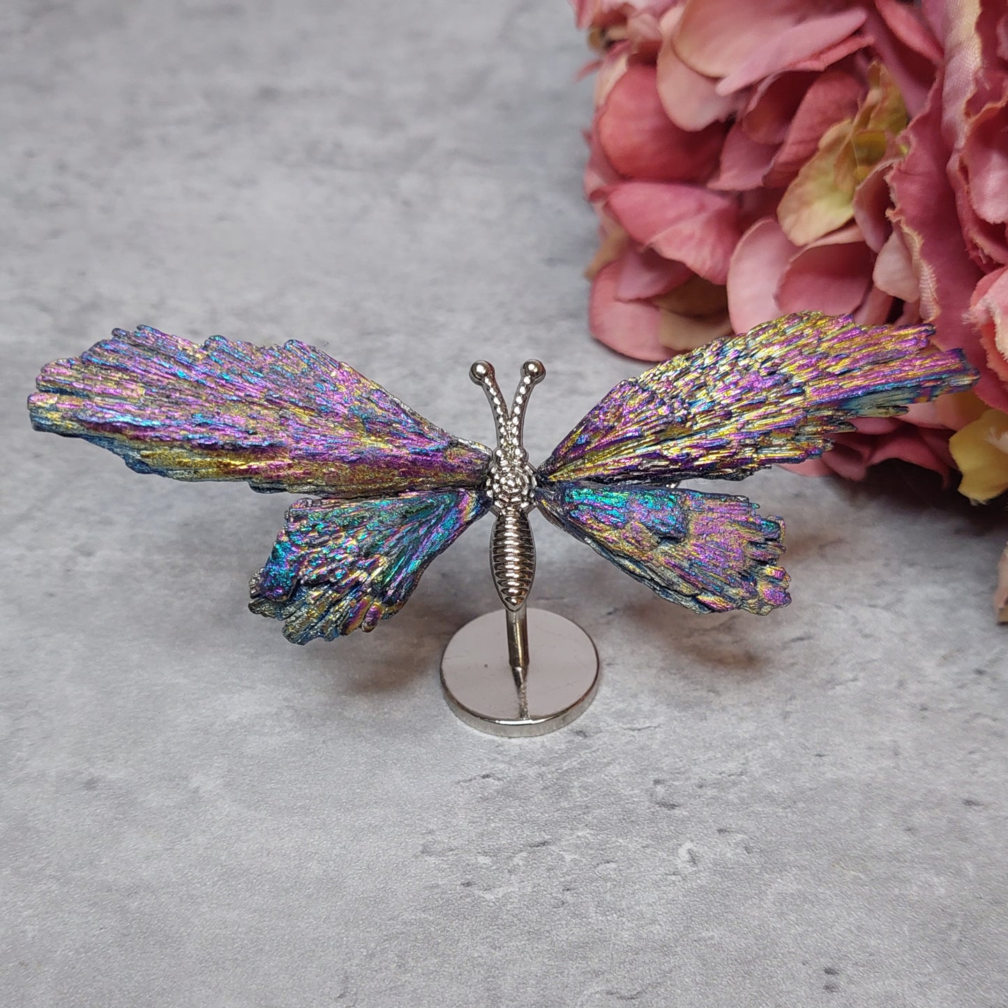 Mini perhosen siivet, Aura kyaniitti värikäs