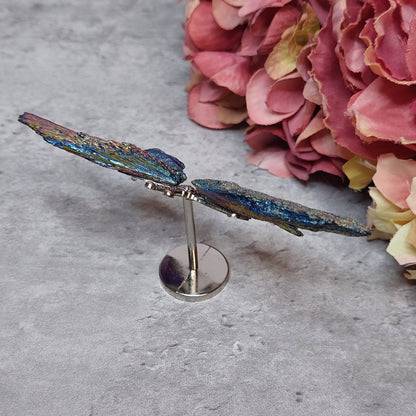 Mini perhosen siivet, Aura kyaniitti värikäs