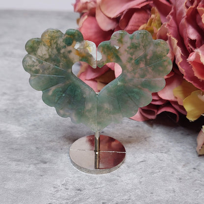 Mini sydän jalassa, sammalakaatti