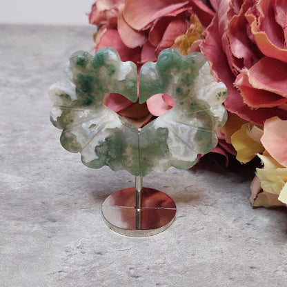 Mini sydän jalassa, sammalakaatti