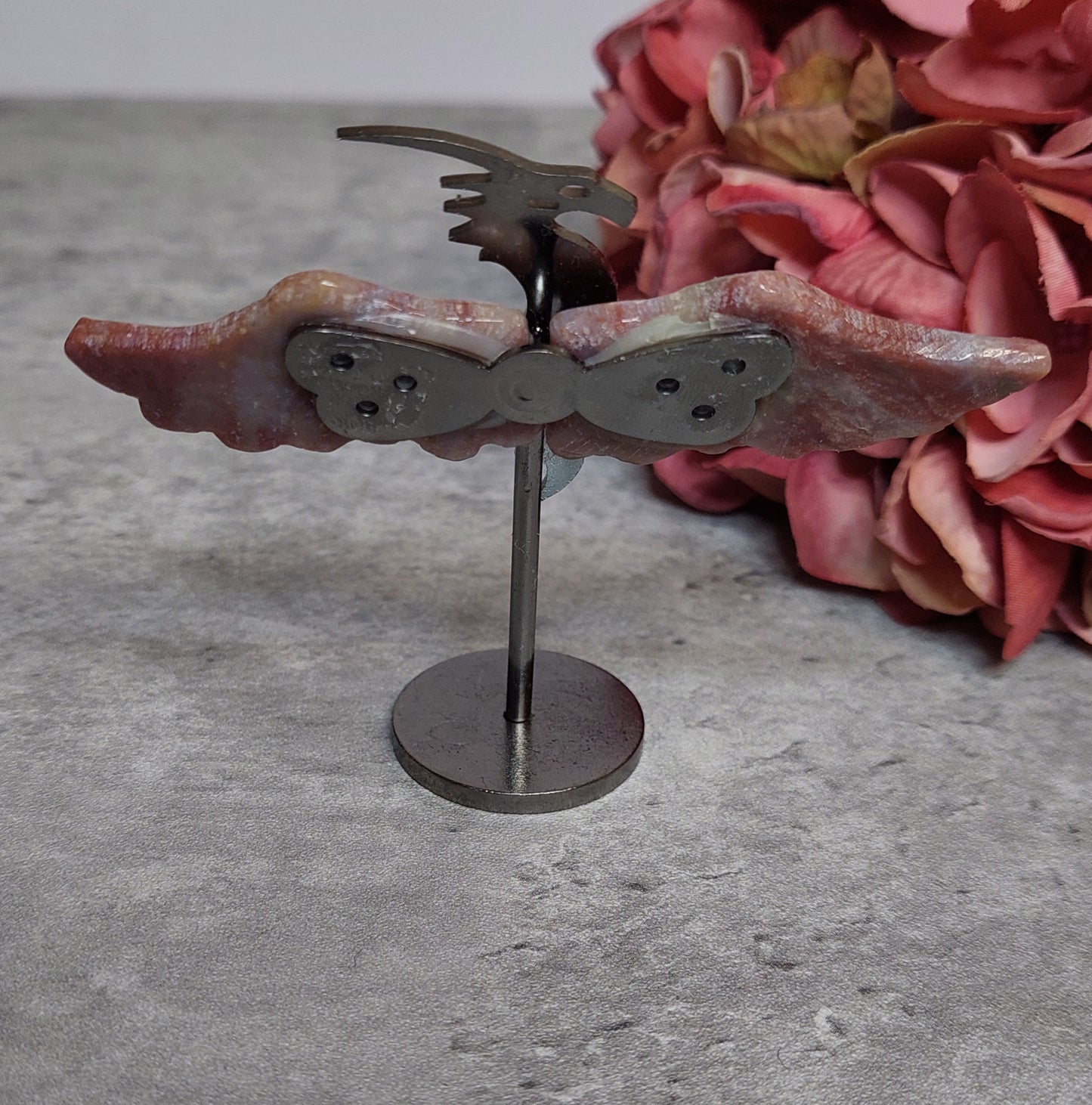 Mini lohikäärme siivet, valtamerijaspis