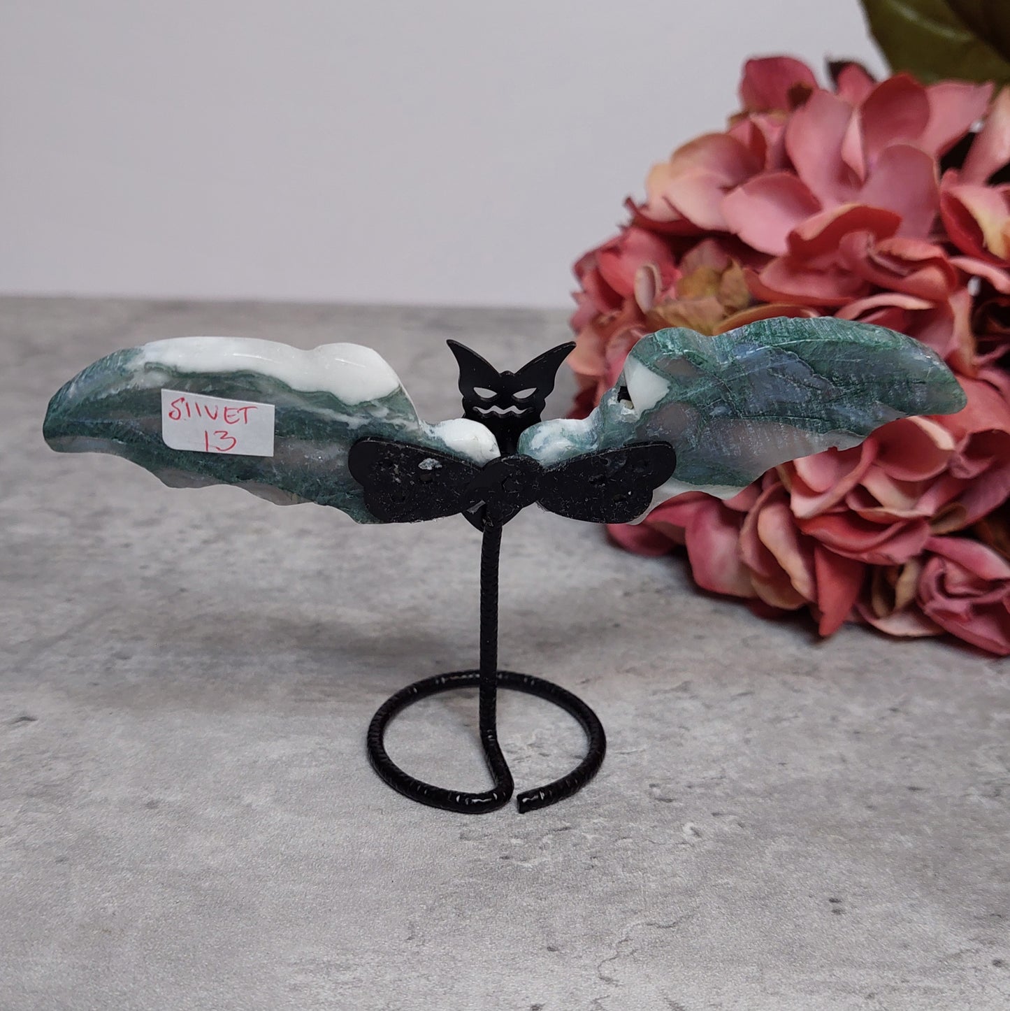 Mini lepakko siivet, Sammalakaatti