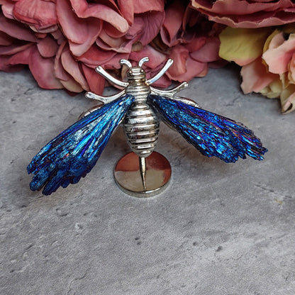 Mini mehiläis siivet, Aura kyaniitti sininen