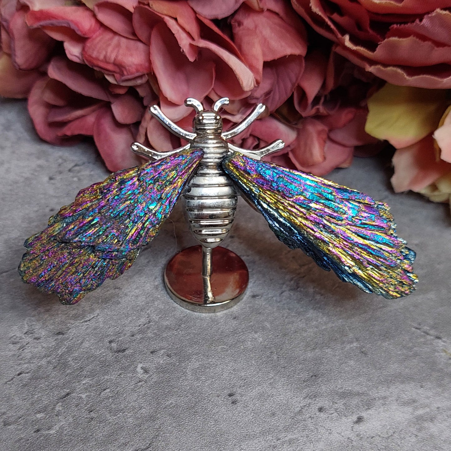 Mini mehiläis siivet, Aura kyaniitti värikäs