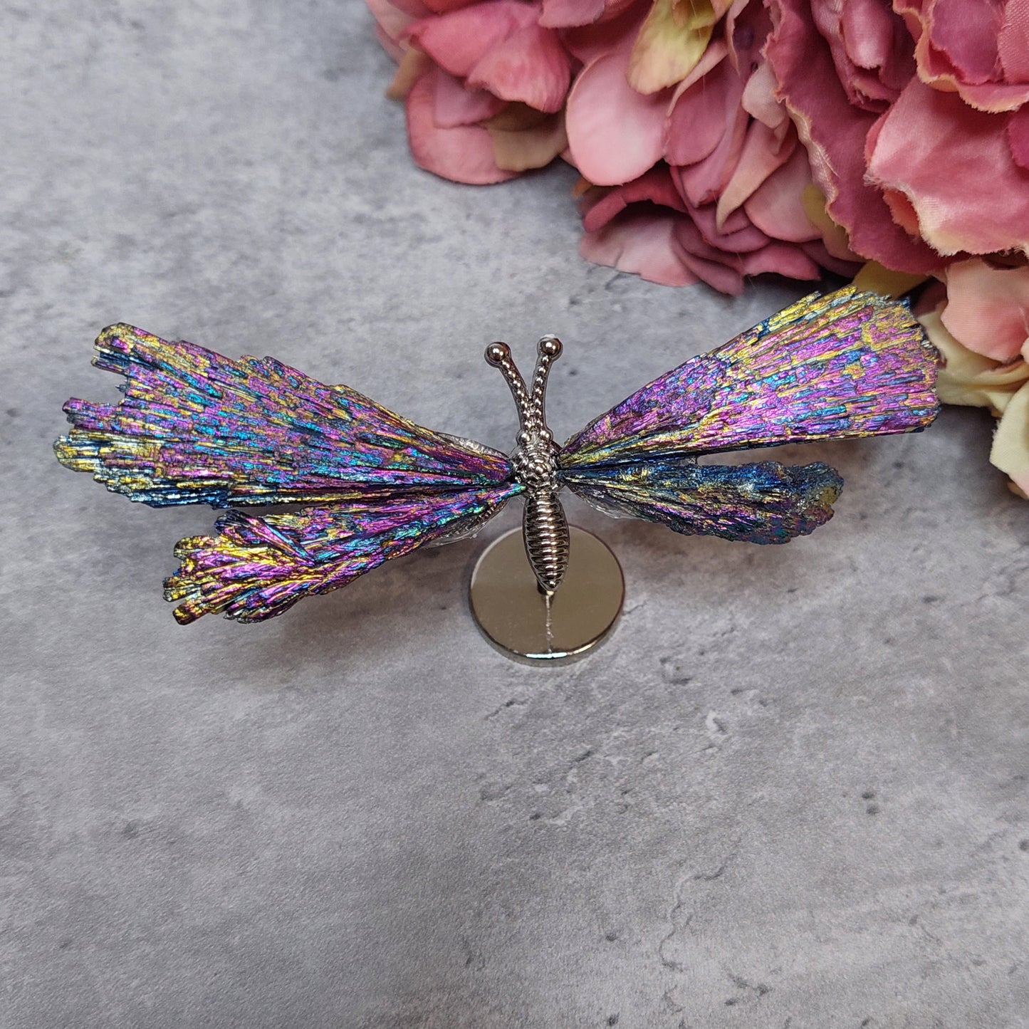 Mini perhosen siivet, Aura kyaniitti värikäs