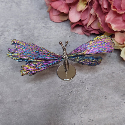 Mini perhosen siivet, Aura kyaniitti värikäs