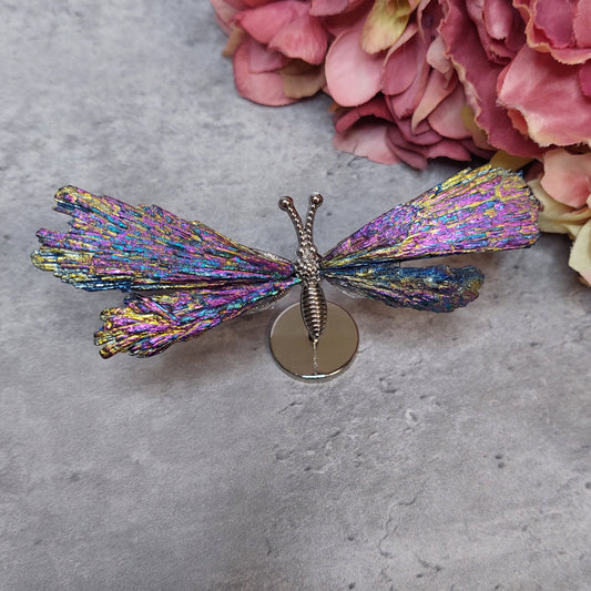 Mini perhosen siivet, Aura kyaniitti värikäs