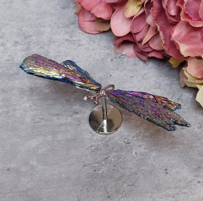 Mini perhosen siivet, Aura kyaniitti värikäs